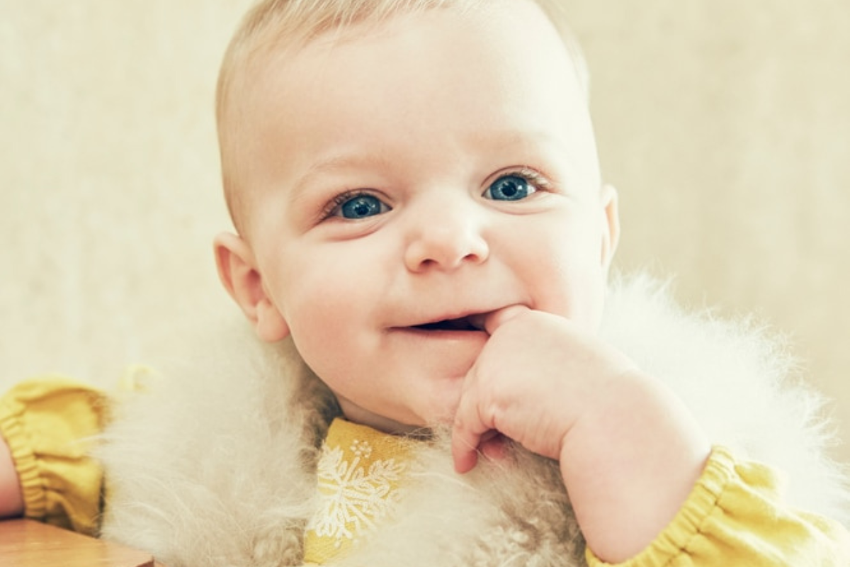 orthodontist new york ny